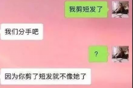 金华融资清欠服务